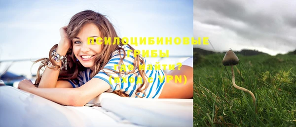 прущий лед Новозыбков