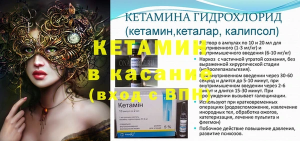 прущие грибы Нягань