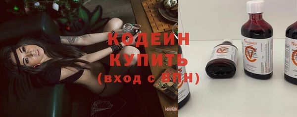 прущие грибы Нягань