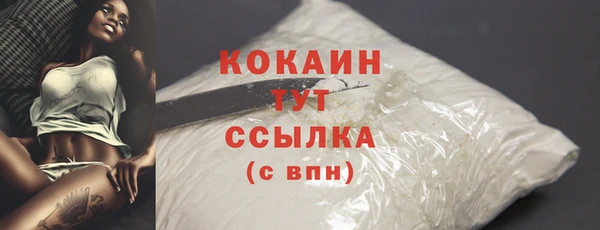 стафф Няндома