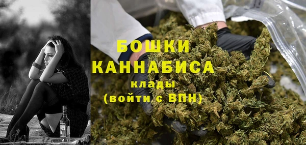 прущий лед Новозыбков