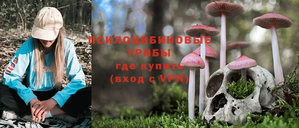 mdpv Новодвинск