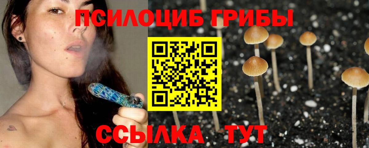 Галлюциногенные грибы Psilocybine cubensis Мегион